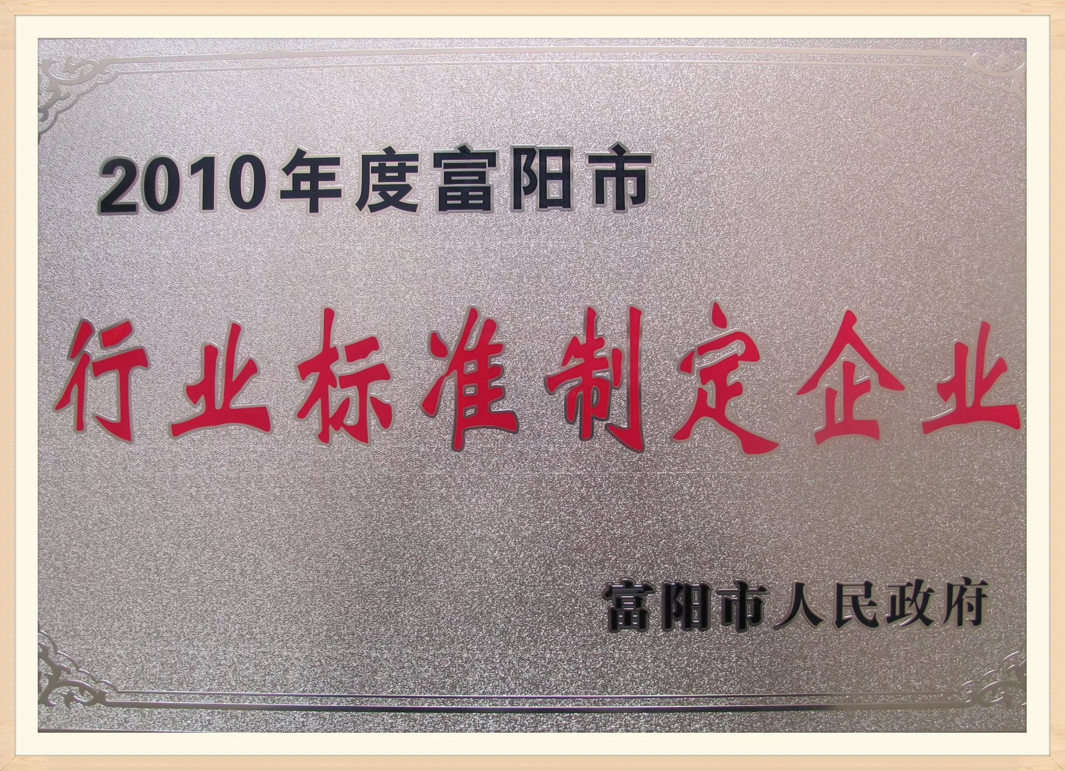 2010行业标准制定企业.jpg